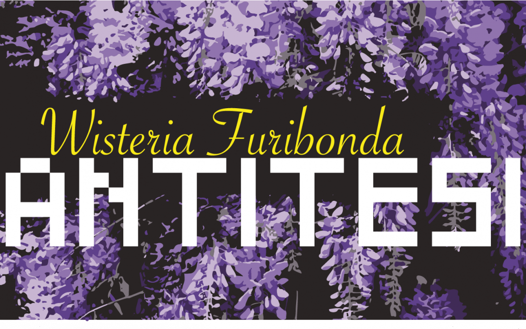 Antitesi Wisteria Furibonda