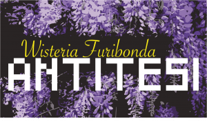 Antitesi Wisteria Furibonda